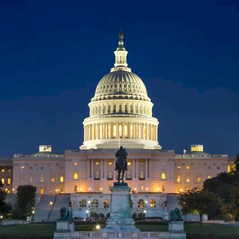 bluebeliever2024.bsky.social's profile picture