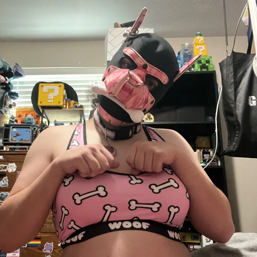 hungtransgirl.bsky.social's profile picture