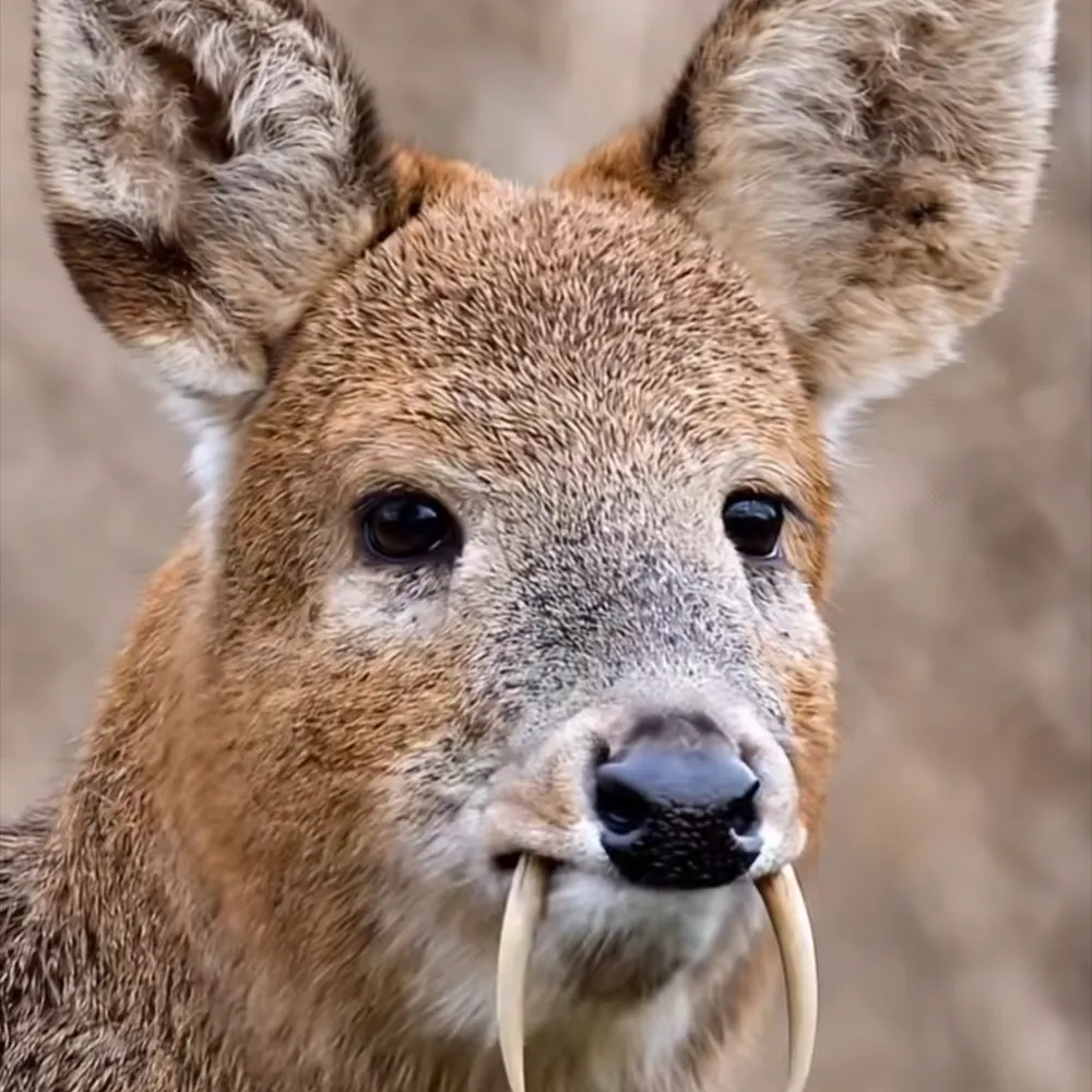 carol279279.bsky.social's profile picture