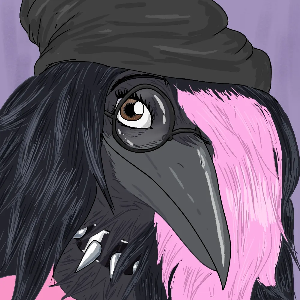 birdoraven.bsky.social's profile picture