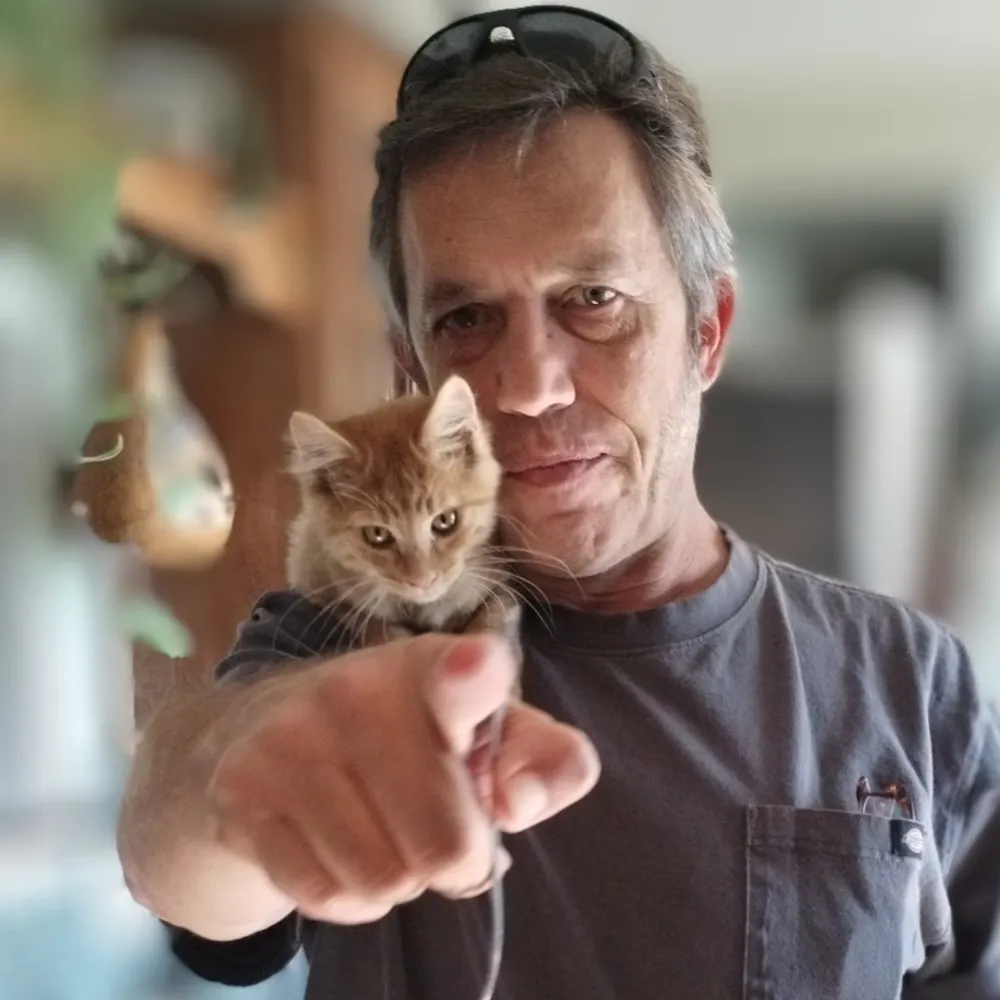 sacto43.bsky.social's profile picture