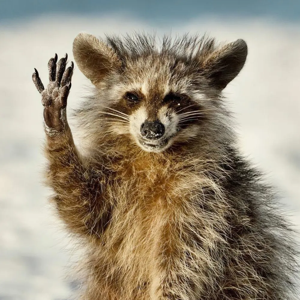 masbackward.bsky.social's profile picture