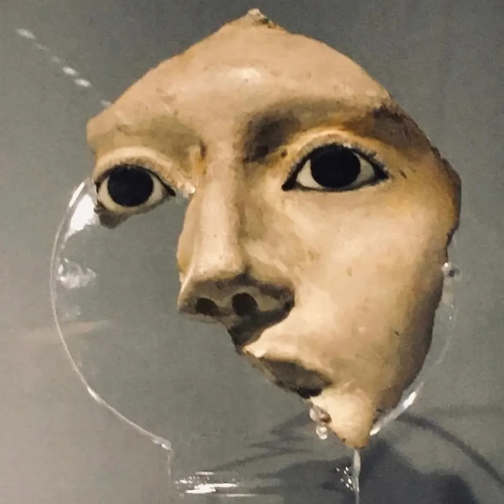 conservationista.bsky.social's profile picture