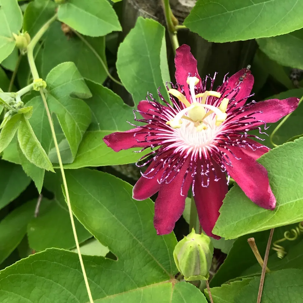 which-witch-ru.bsky.social's profile picture