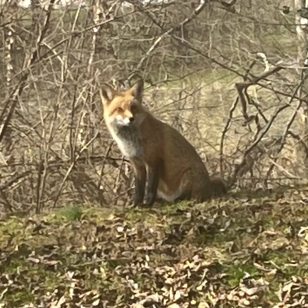 catebridget.bsky.social's profile picture