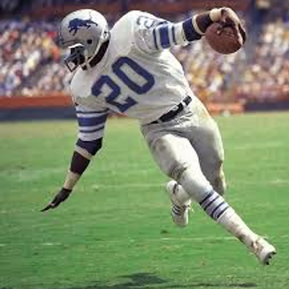 lionsfan11318.bsky.social's profile picture