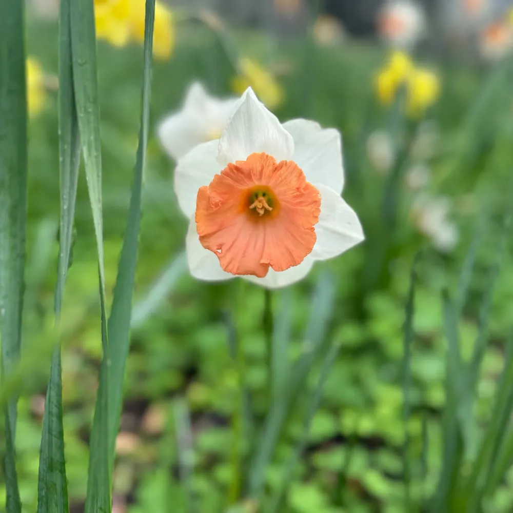 sunnywclouds.bsky.social's profile picture