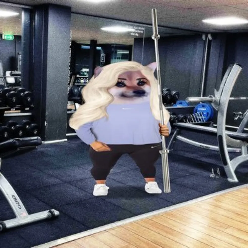 handle.invalid's profile picture