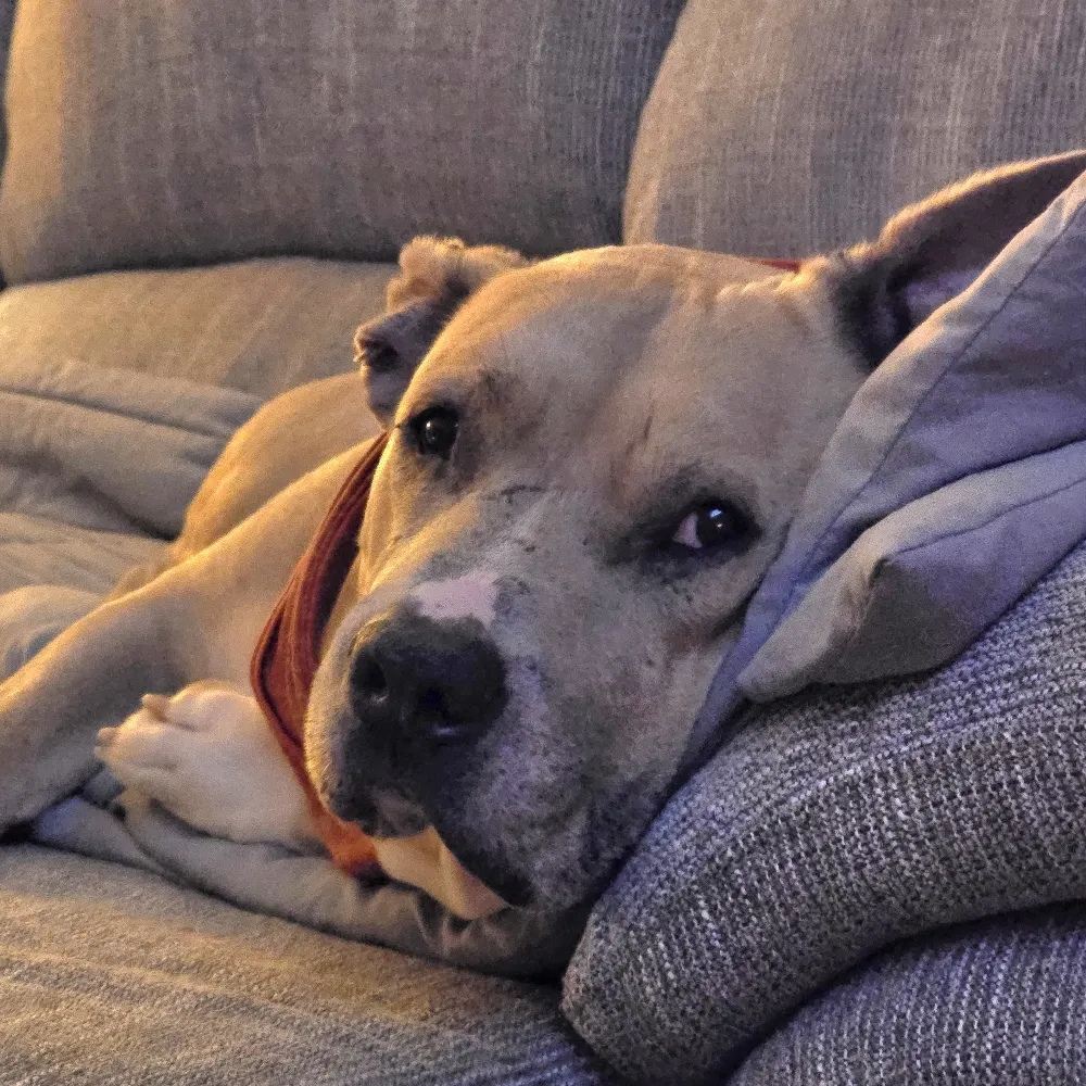 actanonverbame.bsky.social's profile picture