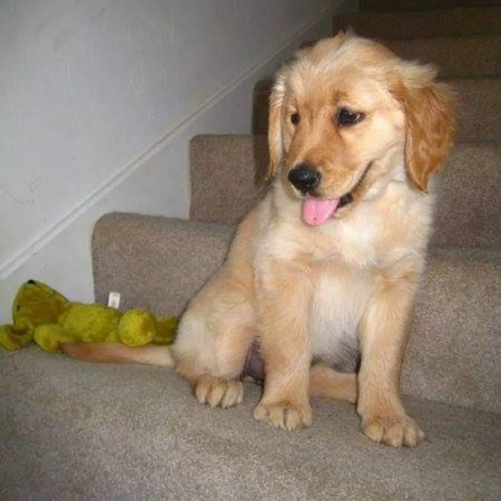 juliadilliard.bsky.social's profile picture