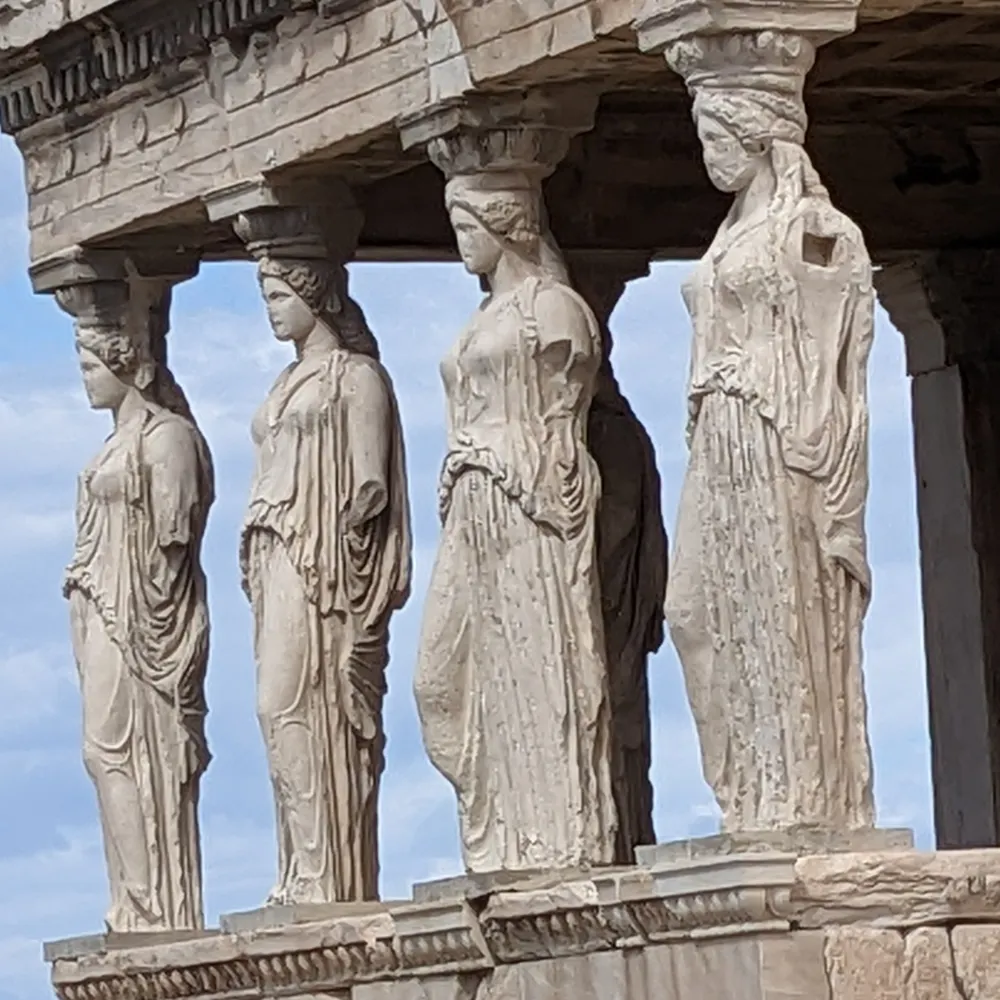 seedizzytee.bsky.social's profile picture