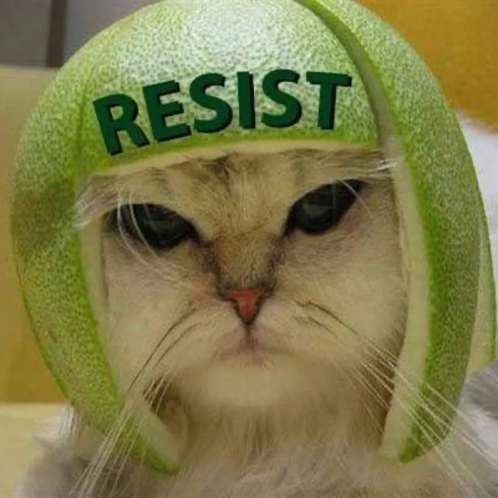 bright8694.bsky.social's profile picture