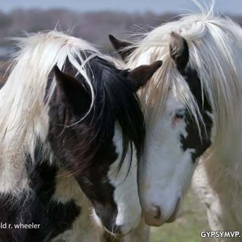 lynn101.bsky.social's profile picture