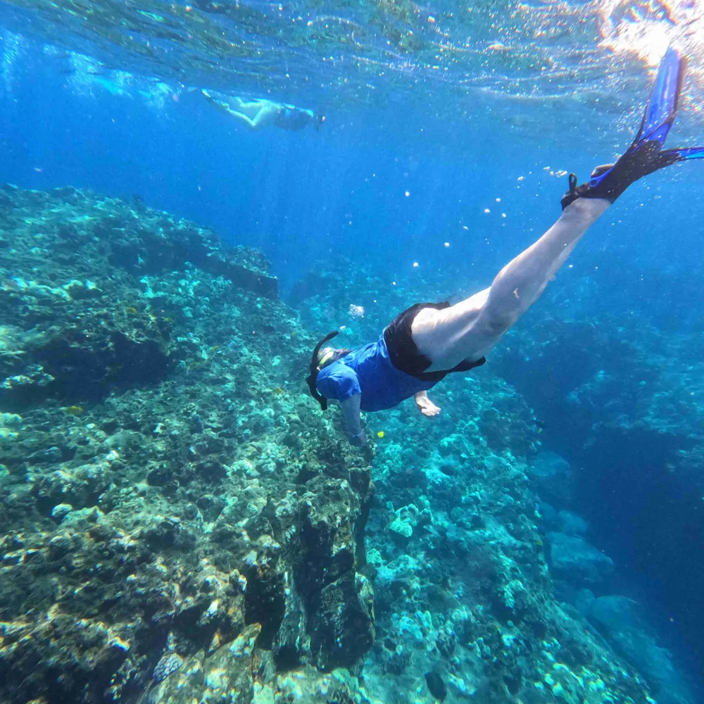 thecountessj.bsky.social's profile picture