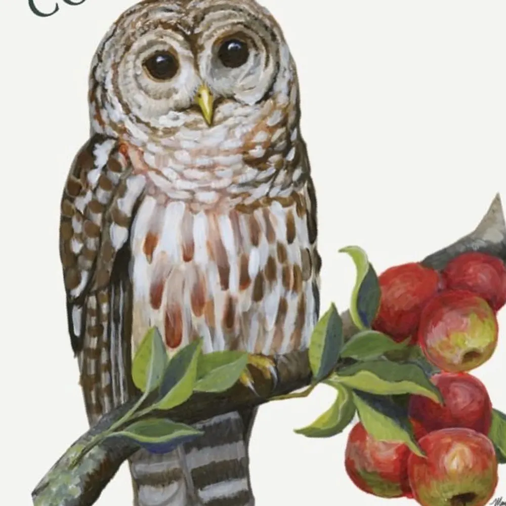 birch19rd.bsky.social's profile picture