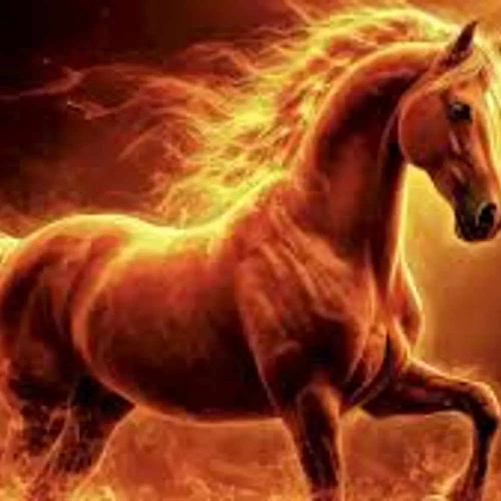 im1voice.bsky.social's profile picture