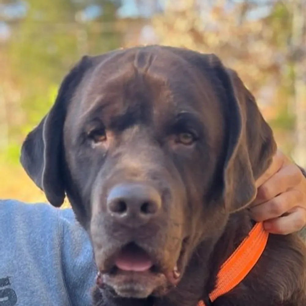 youdou.bsky.social's profile picture