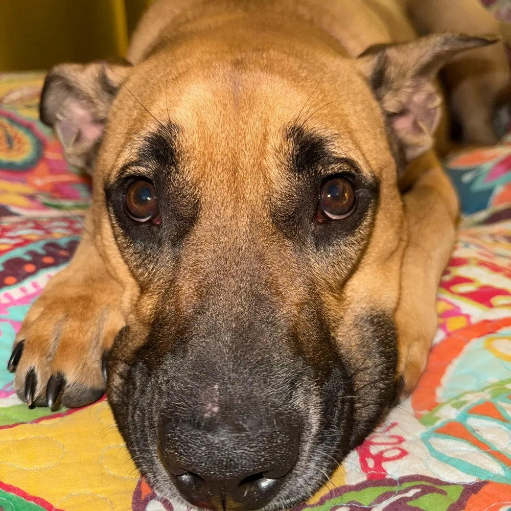 bejsport.bsky.social's profile picture