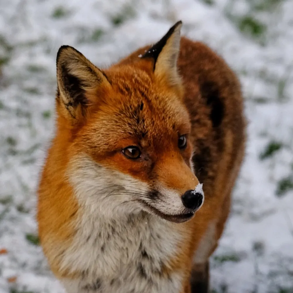 edth.bsky.social's profile picture