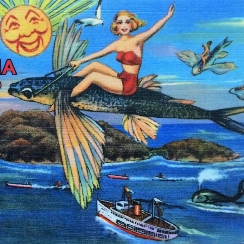 lawrencecphd.bsky.social's profile picture