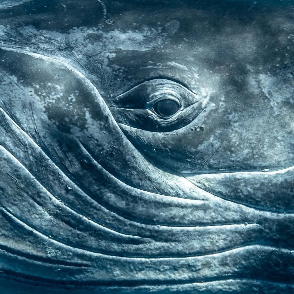 mayanorton.bsky.social's profile picture