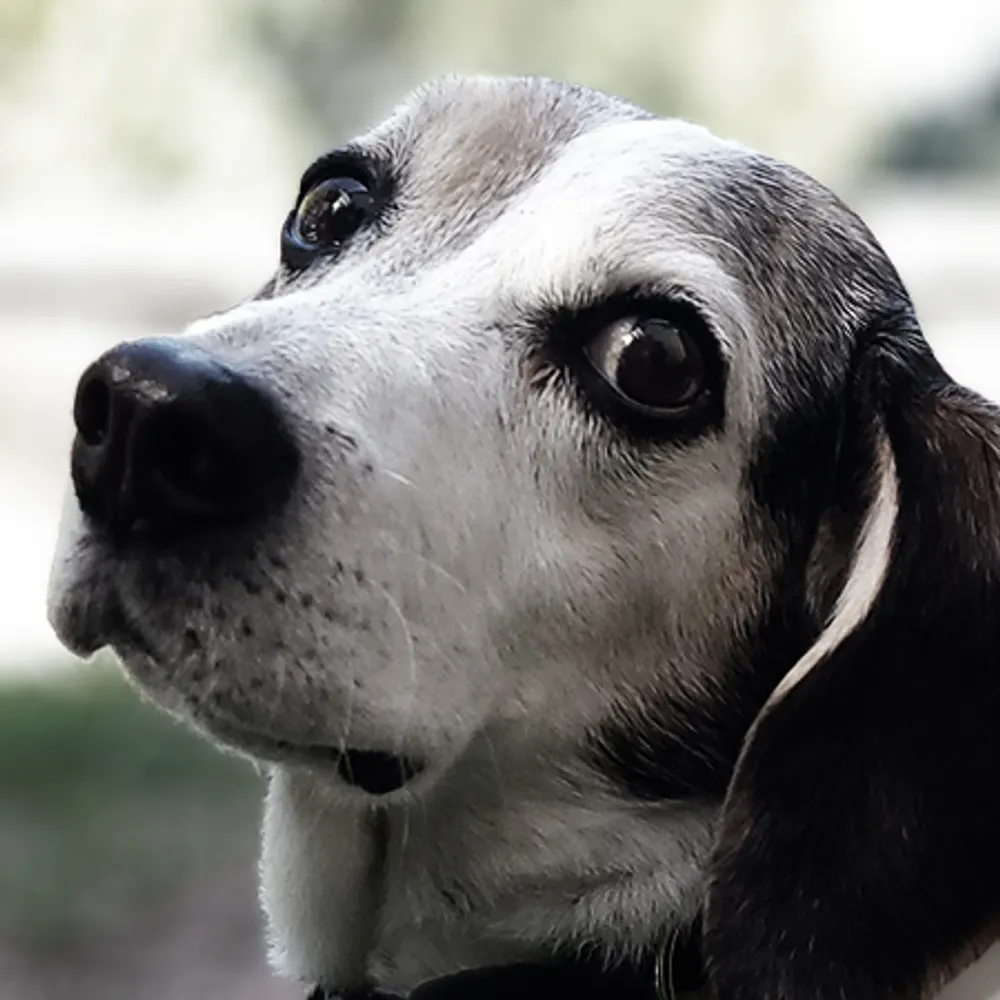 jaygeo24.bsky.social's profile picture