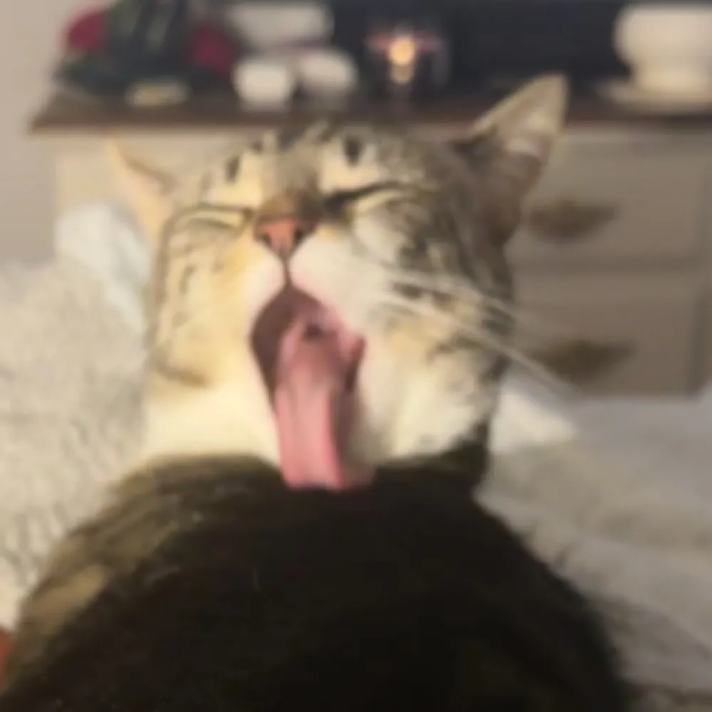 lawnerd.bsky.social's profile picture