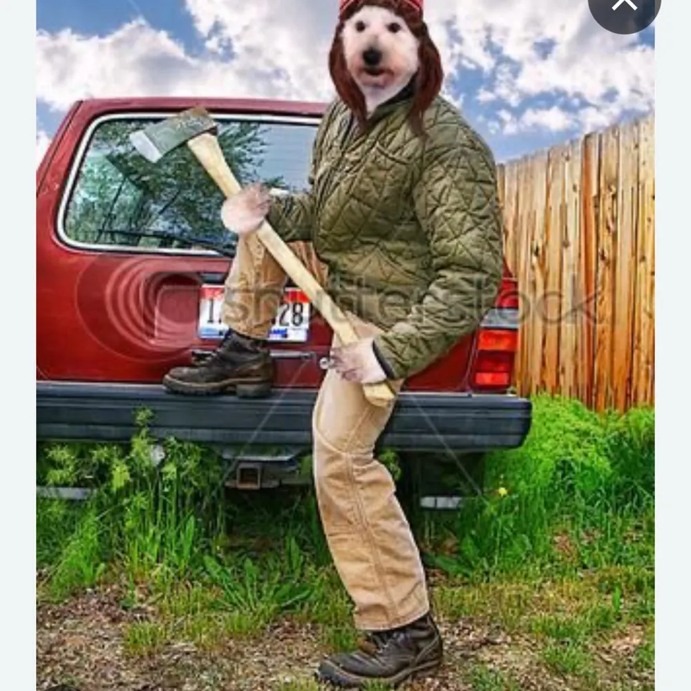 1deemand2.bsky.social's profile picture