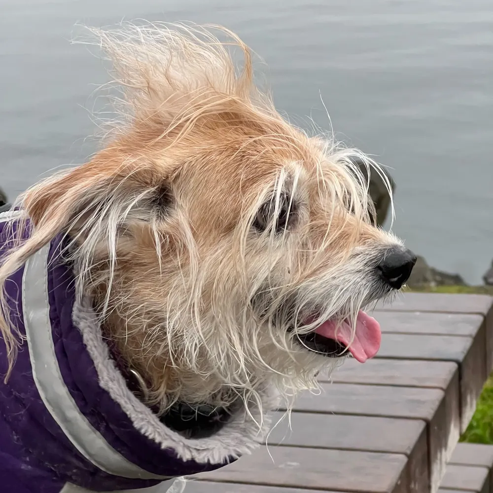 rlbishop.bsky.social's profile picture