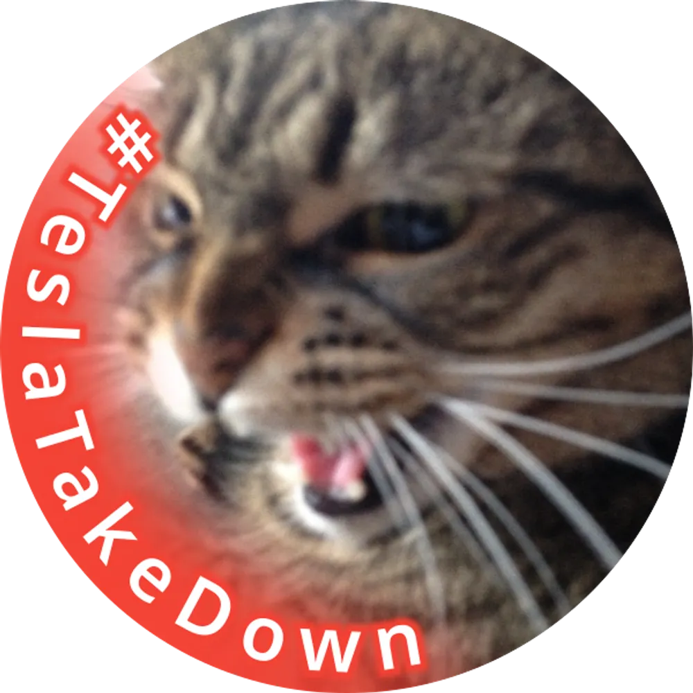 dashingmd.bsky.social's profile picture