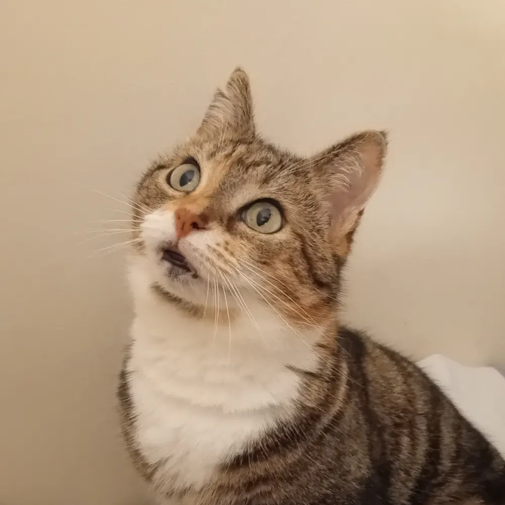 erislovesmovies.bsky.social's profile picture