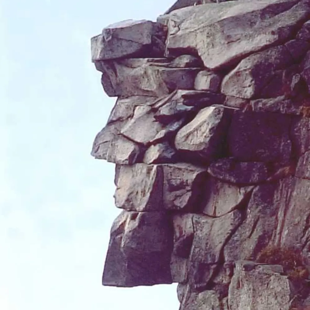 nhwharfrat.bsky.social's profile picture