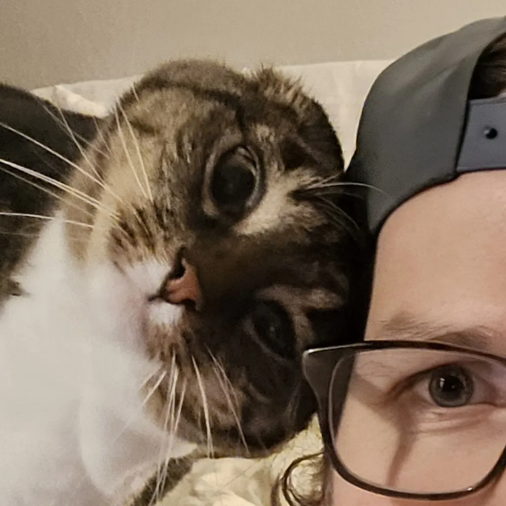 dfqekul.bsky.social's profile picture