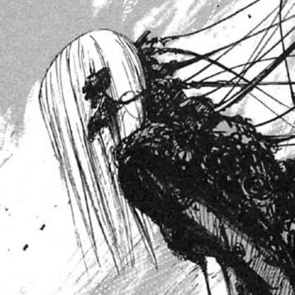 cibo.bsky.social's profile picture