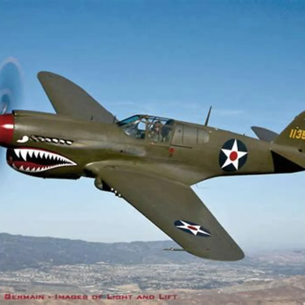 great-white-snark.bsky.social's profile picture