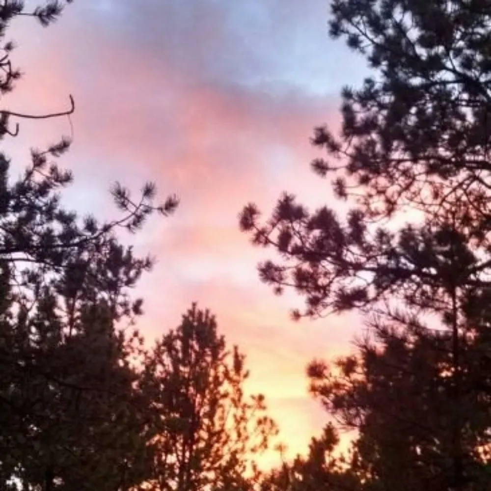 wpco99.bsky.social's profile picture