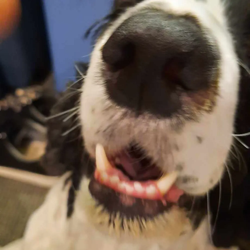 aimossy.bsky.social's profile picture