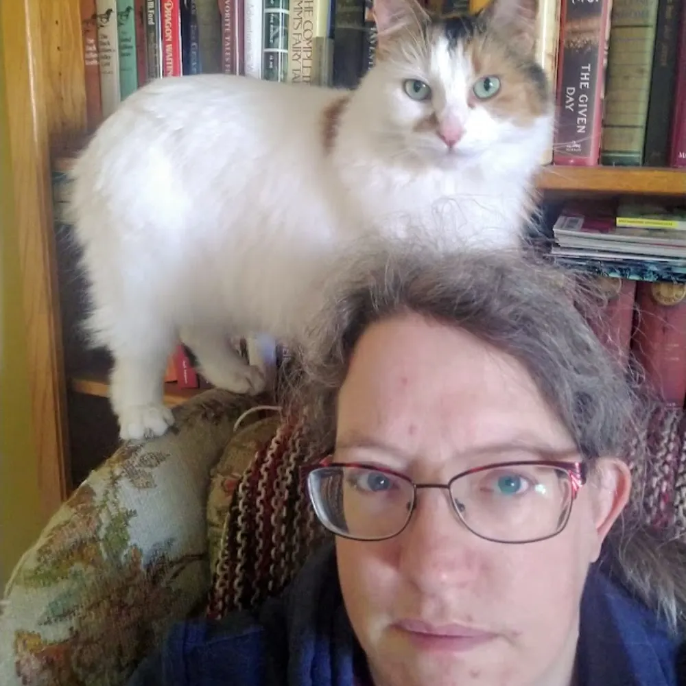 naomikritzer.bsky.social's profile picture