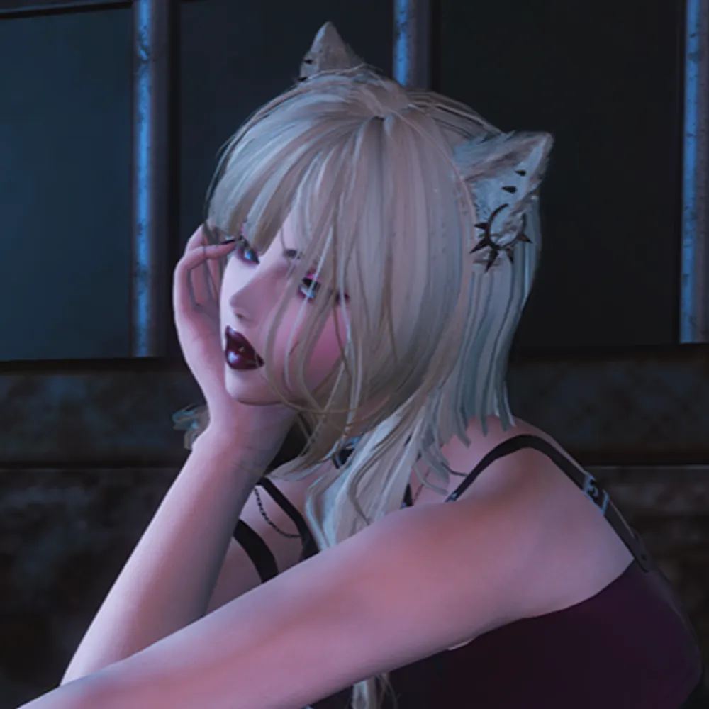 voidgraced.etheirys.social's profile picture