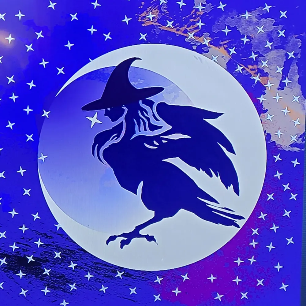 sc1ch0t1c.bsky.social's profile picture