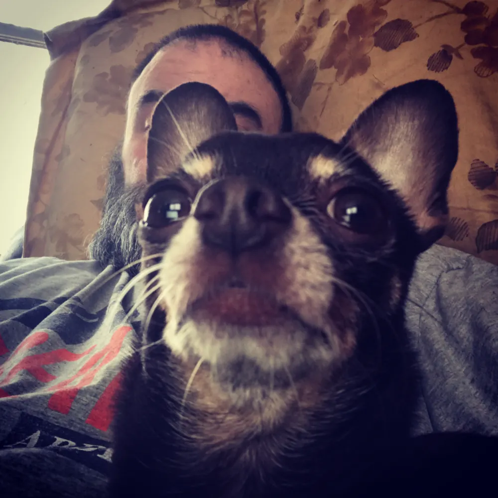 normec.bsky.social's profile picture