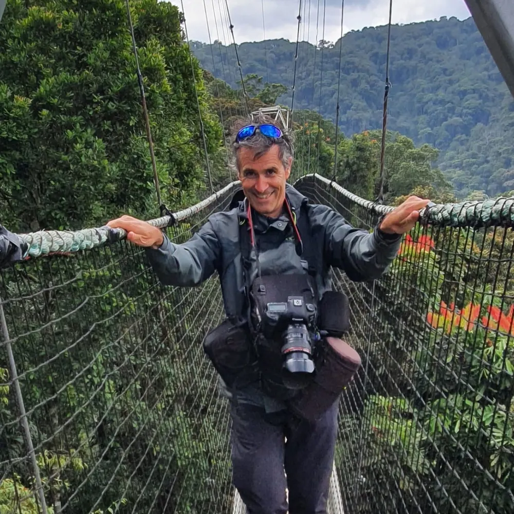 pierocastellano.com's profile picture