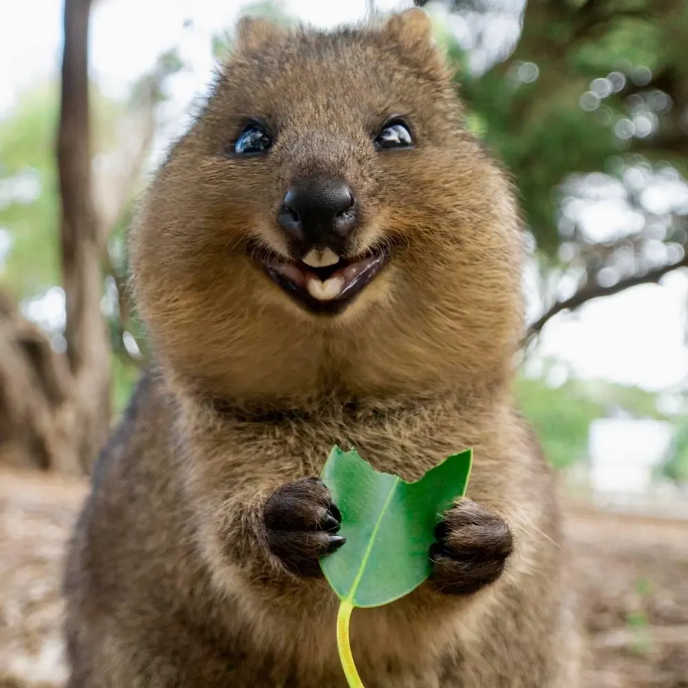 rjmx.bsky.social's profile picture