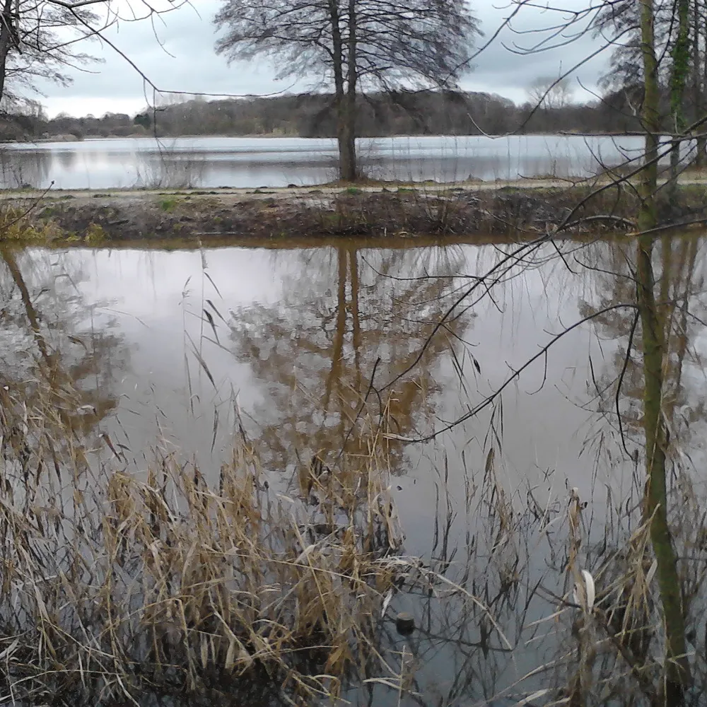 raphael-pbl.bsky.social's profile picture