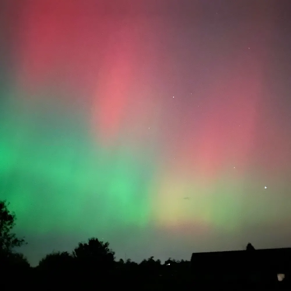 farfromdenmark.bsky.social's profile picture