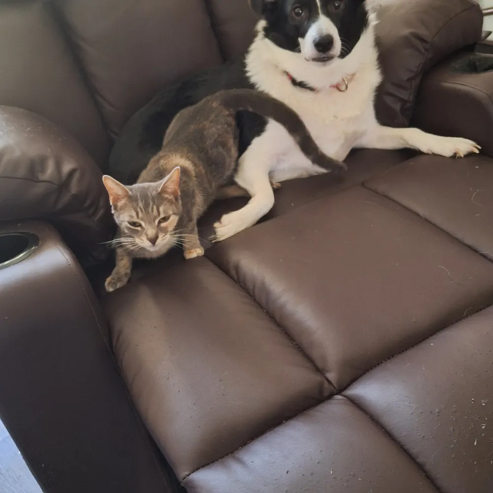 sherryll.bsky.social's profile picture