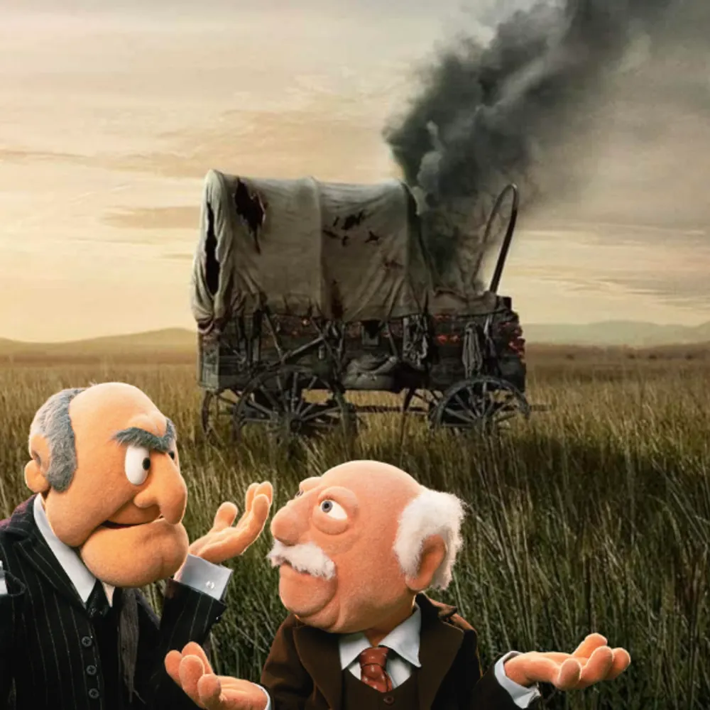 sarahtaber.bsky.social's profile picture