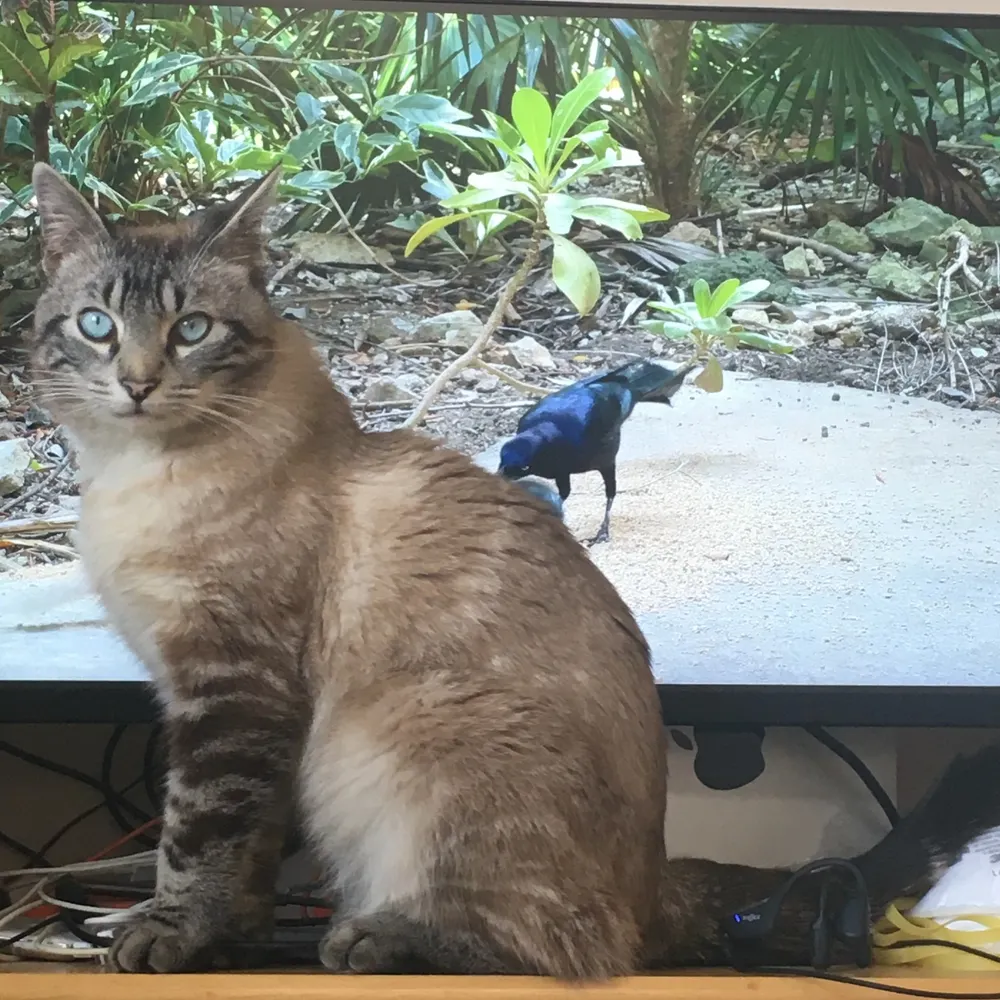 ezlifelin.bsky.social's profile picture