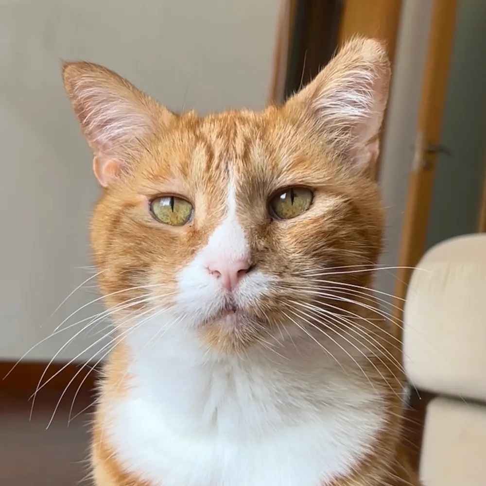 sturmyweather.bsky.social's profile picture