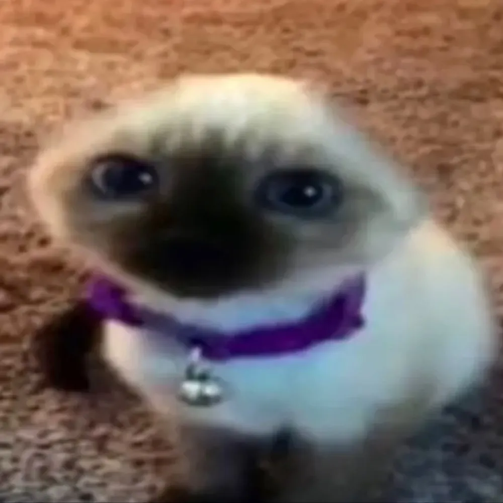 m0thgurl.bsky.social's profile picture